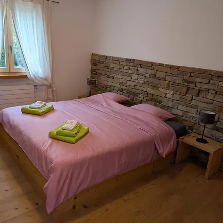 Wunderschoene 3 Zimmerwohnung Mit Bergblick In Celerina סלרינה